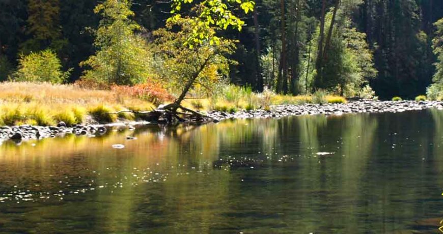 Comment rendre l'eau potable 1 river