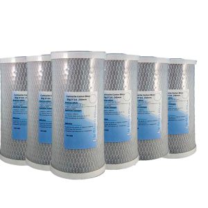 Lot de 5 Cartouches Charbon Actif Big Blue 9 pouces 3/4